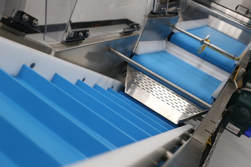 Sanitary flat and cleated belts-min